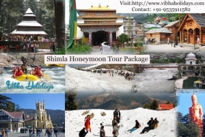 Honeymoon Tour Packages - Vibha Holidays